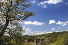 The ruins of Bolton Abbey Priory, near Skipton