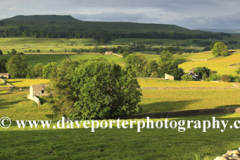 Dawn breaking over Askrigg pastures, Wensleydale