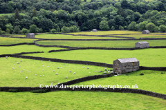 Stone barns at Feetham village, Swaledale