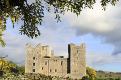 Flower meadow and Castle Bolton Castle; Wensleydale