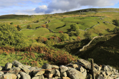 Autumn colours; Askrigg Common; Wensleydale