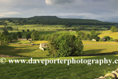 Askrigg pastures; Askrigg village, Wensleydale