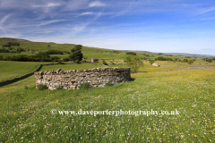 View over flower meadow, Raydale, Yorkshire Dales