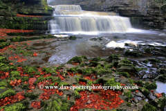 The Lower falls of Aysgarth Falls, Wensleydale