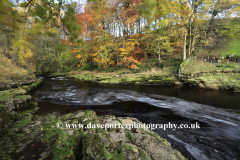 Autumn, River Doe near Chapel Le Dale village