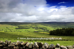 Summer Lodge Moor; Swaledale; Yorkshire Dales