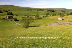 Summer, View over flower meadow, Raydale