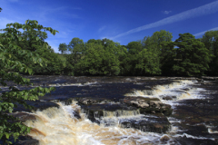 The Lower falls of Aysgarth Falls, Wensleydale