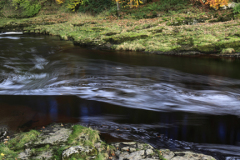 Autumn, River Doe near Chapel Le Dale village