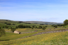 View over flower meadow, Raydale, Yorkshire Dales