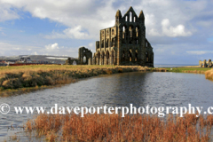 Autumn view of Whitby Abbey