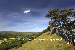 View over West Burton village, Wensleydale