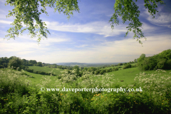 Countryside near Shipton under Wychwood