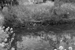 Arlington row Cottages, River Coln, Bibury