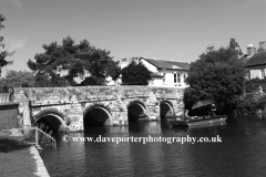 The Royalty fishery, river Avon, Christchurch