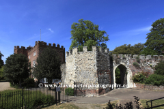 The Castle Gardens, Hertford town