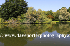 The Verulam Lake, St Albans City