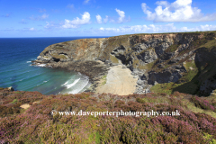 Bassets Cove, the North Cliffs Coast, Porteath