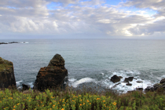 Hor Point, Porthmeor beach, St Ives