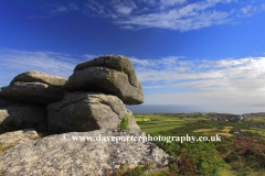 Gorse and Heather Moorland, Rosewall Hill, St Ives