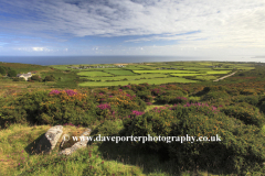 Gorse and Heather Moorland, Trevalgan village, St Ives