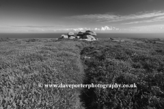 Gorse and Heather Moorland, Rosewall Hill, St Ives