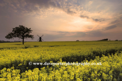 Sunset view of Stevington Windmill; Stevington village