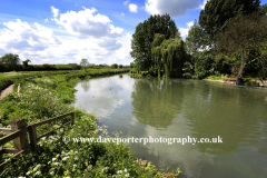 The Riddy nature reserve, river Ivel, Sandy town