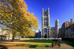 Autumn Colours Ely Cathedral