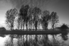 Trees along the river Nene, Castor village