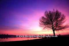 Dusk Ferry Meadows Lake, Peterborough