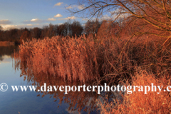 Autumn Sunset over a Fenland waterway