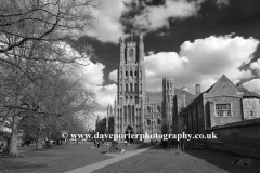 Spring Colours, Ely Cathedral, Ely City