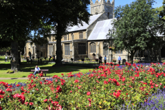 Rose gardens, St Peters parish church, Wisbech