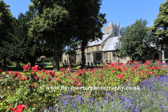 The Rose gardens at St Peters Church; Wisbech