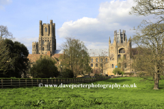 Spring Colours, Ely Cathedral, Ely City