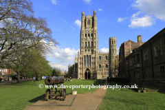 Spring Colours, Ely Cathedral, Ely City