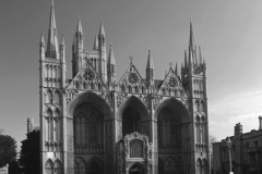 Daffodils, West front of Peterborough Cathedral