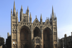 Daffodils, West front of Peterborough Cathedral