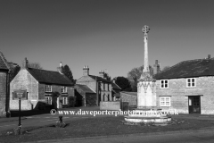 Market cross on the village green; Peakirk