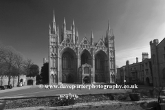 Daffodils, West front of Peterborough Cathedral