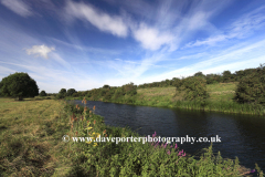 Summer, the river Nene, Ferry Meadows country park