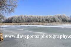 Frozen lakes at Ferry Meadows country park