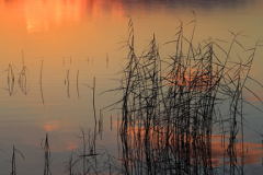 Autumn sunset over a Fenland Drain; near Wisbech