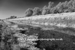 Summer, weedy Fenland Drain, Peakirk village