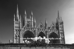 Daffodils, West front of Peterborough Cathedral