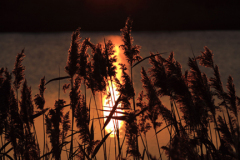 Sunset over a Fenland Drain; near Wisbech