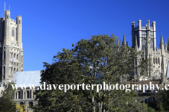 Spring Colours, Ely Cathedral, Ely City