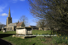 Spring daffodils, St Wendras church, March town