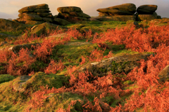 Autumn, Gritstones, Lawrence Field, Grindleford